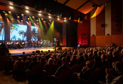 Koncert zespołu Pectus z widoczną widownią