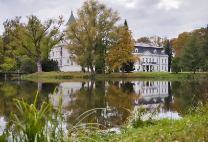 Widok przez staw na Pałac w Radziejowicach