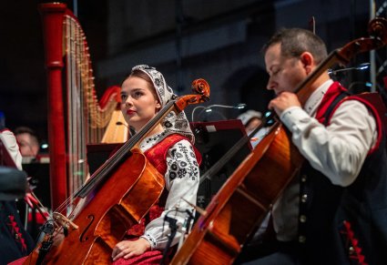 Zbliżenie na dwóch Muzyków smyczkowych