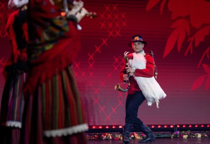 Zbliżenie na artystę grającego na koźle weselnym