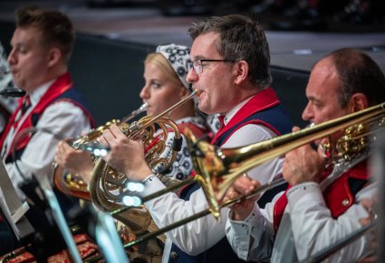 Zbliżenie na artystów orkiestry podczas koncertu