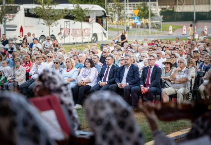 Duża część publiczności, podczas oglądania koncertu
