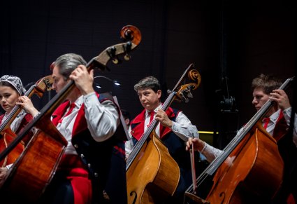 Zbliżenie na artystów orkiestry podczas koncertu