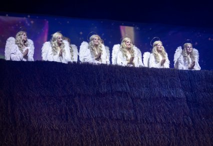 Zbliżenie na Anioły dachowe