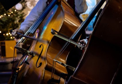 Zbliżenie na instrument smyczkowy