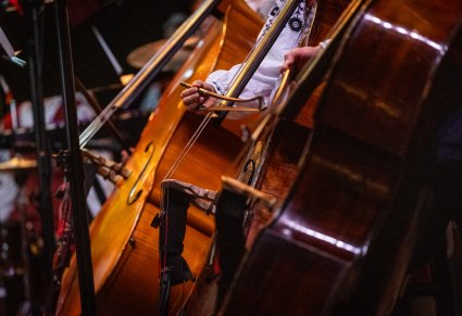 Zbliżenie na instrument