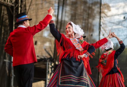 Artyści w kostiumach wielkopolskich uchwyceni w tańcu