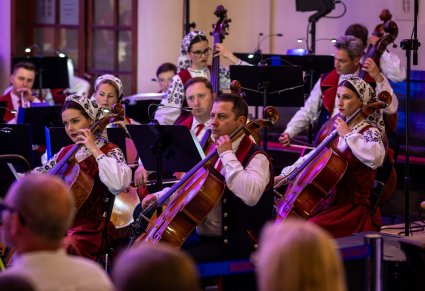 Zbliżenie na Muzyków z orkiestry smyczkowej