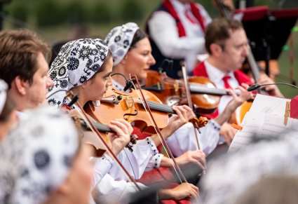 Zbliżenie na muzyków instrumentów smyczkowych