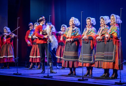 Artyści w kostiumach lubuskich podczas układu na scenie