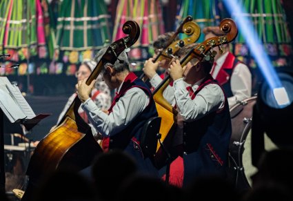 Zbliżenie na trzech kontrabasistów w kostiumach wilanowskich podczas grania na instrumentach