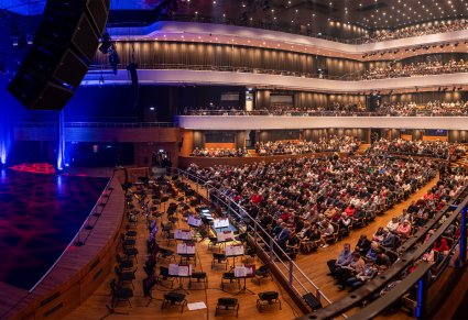 Sala koncertowa, widoczna widownia