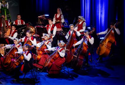 Zbliżenie na orkiestrę smyczkową