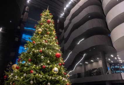 Zbliżenie na choinkę Narodowego Forum Muzyki