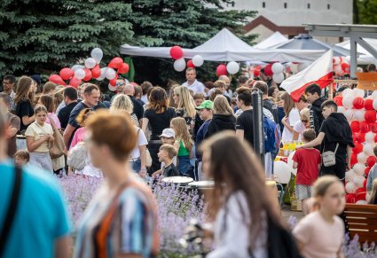 Uczestnicy V Pikniku Rodzinnego "A to Polska właśnie!" w Brwinowie