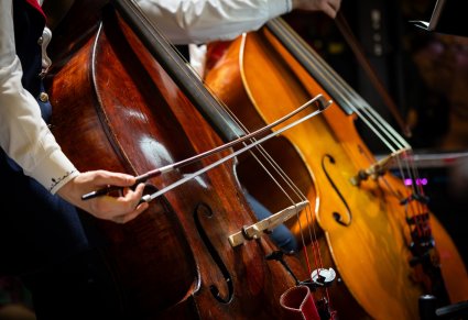 Zbliżenie na dłoń i smyczek kontrabasu