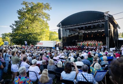 Widownia podczas koncertu, w tle widoczna scena i chór