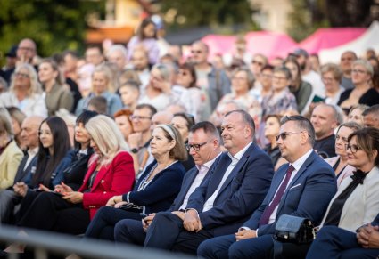 Widownia podczas koncertu