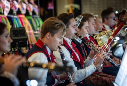 Zbliżenie na orkiestrę podczas koncertu